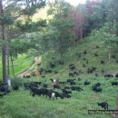 수암영농조합 이미지