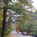 뉴스타트설악리조트 이미지