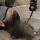 한결강아지미용실 | 홍대 미용실 두피케어 잘하는 앤오프 홍대점 솔직 후기