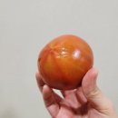 토마토 | [보투아몽드 대저짭짤이 토마토] 부산 대저 토마토 쿠팡 후기