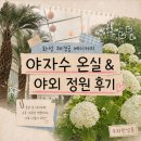 더온실 | 화성 혜경궁 베이커리, 야자수 온실과 야외정원이 더 좋았던 가족 나들이 후기