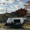 양평글램핑 사나래글램핑에서 가을 만끽한 후기(매점, 텃밭, 수영장 정보)