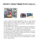 고바우문구 이미지