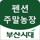 죽전길 이미지