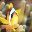 오산약국 이미지