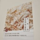 정성카츠다대포점 | [부산/다대포/맛집] 다대포 해수욕장 역 바로 앞에 있는 원카츠 후기