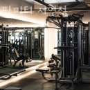 라인핏피티 이미지