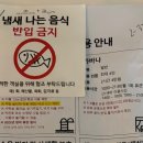 돌담목장 | 여름휴가 | 아기랑 제주여행 2일차. 스위트호텔 조식-표선해수욕장-표선돌담칼국수-목장카페 밭디-룸서비스