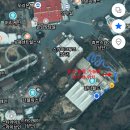 푸바오PC | 토요일 주말 판다월드 오픈런 성공 후기, 쌍둥바오 시간, 에버랜드 정문 유료주차장, 망원렌즈 추천...