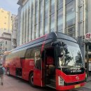 우리안전종합상사 | 충북 단양 소백산 철쭉제 비로봉의 제주도 풍경 (다음매일산악회 등산 코스)