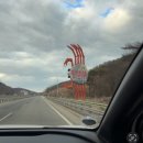 영덕대게 | 영덕 [축산항 대게궁] 현지인 추천 영덕대게 맛집 후기 | 예약, 가격, 추천 이유까지