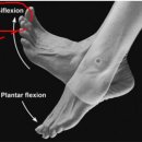 태선생 운동건강연구원(저스트바디짐) 이미지