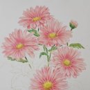 꽃그림 보타니컬아트 | 대구동구평생학습센터 색연필보타니컬 강좌 자격증3급 과정 보타니컬아트 식물꽃그리기 수업 합니다