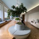 예주약국 이미지