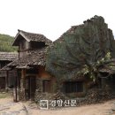 하늘청과 - 부천시 원미구 조마루로 137 | 하늘청과