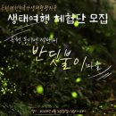 다슬기 반딧불이 이미지