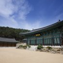 부인사 - 1134 | 부인사