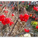 김촌저수지 이미지