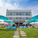 헬로피스 이미지