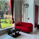 딩동댕애견스파풀빌라 이미지