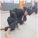 화랑합기도 | 금촌주짓수 몸과 마음이 함께 성장하는 금촌 화랑합기도 주짓수 후기