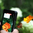 순천만 어싱길 맨발 걷기대회 이미지