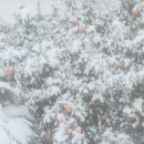 다솜스테이 이미지