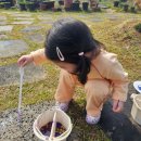 160 | 미니멜리사 샌들 포제션 유니 퍼플 160 사이즈 후기