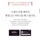 글로벌나이프 G-5 채소, 육류 만능 스테인리스 주방 칼 실사용 후기(닭고기 문제없지)