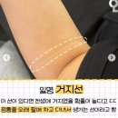 거지선 이미지