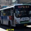 남호그린아파트앞 이미지