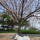 해동가축병원 이미지