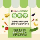 알파커머스 이미지