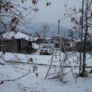 사과나무부동산중개사무소 이미지