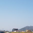 함평천 팜파스 그라스, 핑크뮬리 예초21.3.23.~26. 이미지
