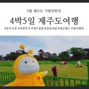 나이스호텔 | 제주가볼만한 곳 5월 4박5일 제주도여행 첫째,둘째날