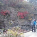 사문안골 이미지