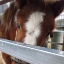 도시탈출민박 이미지