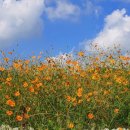 수당리마을회관 이미지