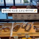 오브닝(ovening) 네이버블로그