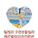 Molang-e | 제주 아기랑 동쪽 숙소 키즈 펜션추천 제주 몰랑이키즈펜션 - 오션뷰 일출 뷰 월정리 해변 숙소