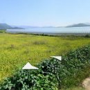 최석구농장 이미지