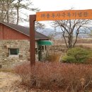 하천섬(주차장) 이미지