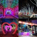 청도군-3 | [청도 아이랑 가볼만한곳] 청도 프로방스 불빛축제 / 3월 방문 후기❤️