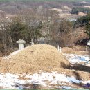 박우현 묘소 이미지