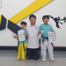 용인대 명품 태권도장 이미지