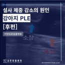 호계동물병원 이미지