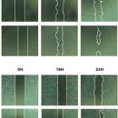 (주)모아캠 이미지