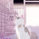 고양이주택 이미지