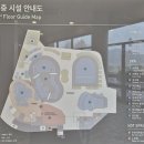 도고네 | 겨울철 물놀이 파라다이스 도고 후기 할인 꿀팁